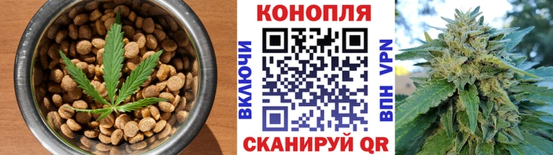Canna-Cookies марихуана  Купить  Среднеуральск 