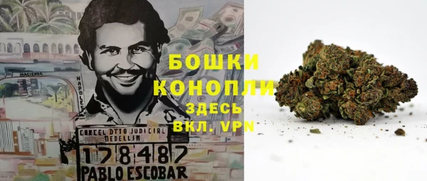молекула духа Медногорск