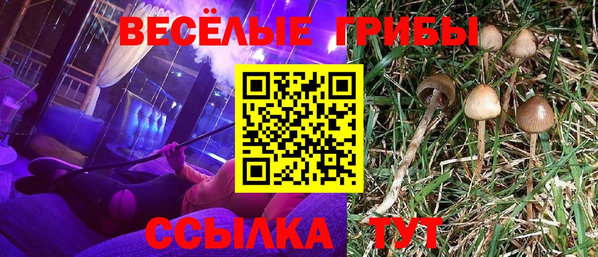 Псилоцибиновые грибы Cubensis  Вход с VPN  Псилоцибиновые грибы MAGIC MUSHROOMS  Среднеуральск 