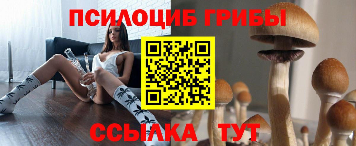 Галлюциногенные грибы MAGIC MUSHROOMS Среднеуральск